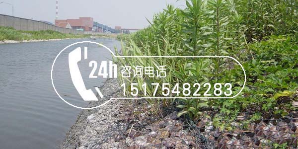 格賓網(wǎng)