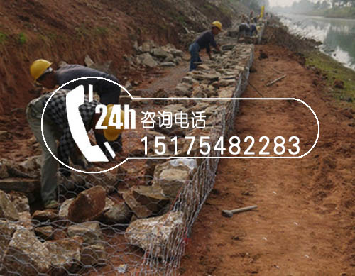 賓格網