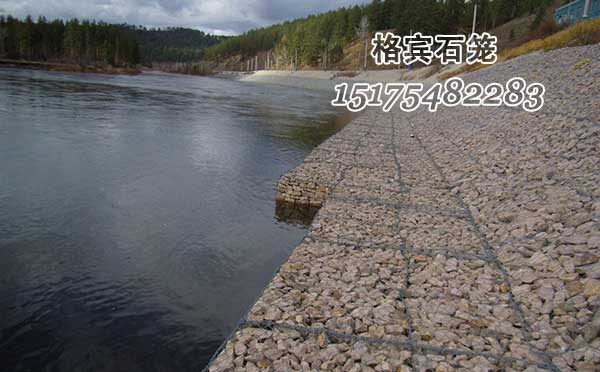 賓格網