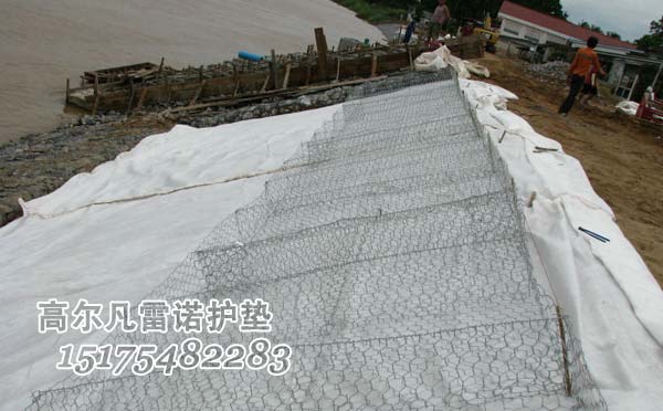 高爾凡雷諾護墊