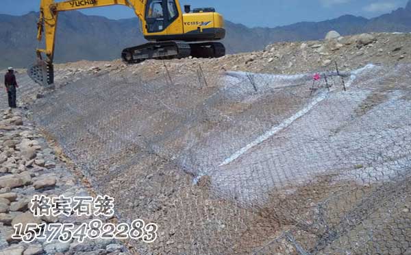 雷諾護墊