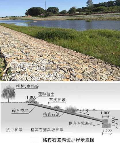 護腳雷諾護墊